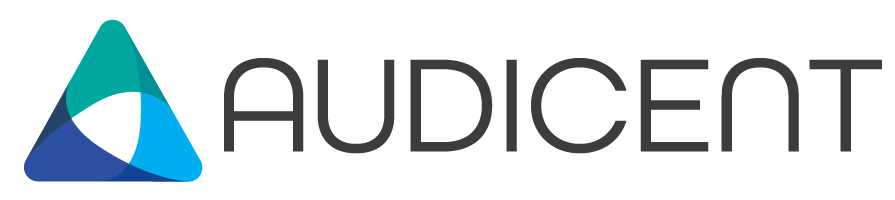 Audicent - Assessoria Empresarial